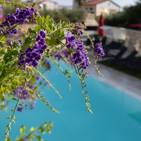 Villa Aqua Жаборич Екстер'єр фото