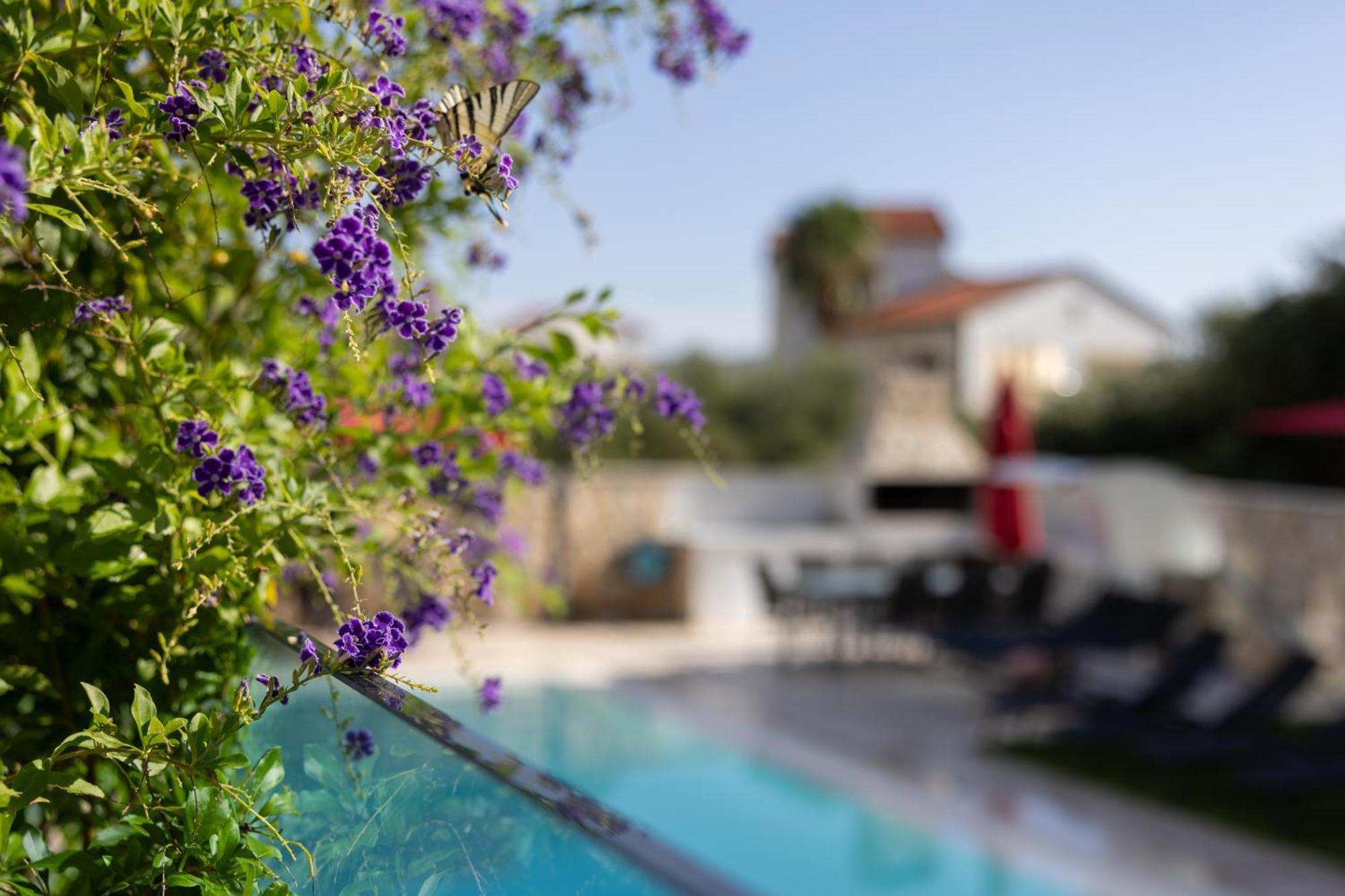 Villa Aqua Жаборич Екстер'єр фото